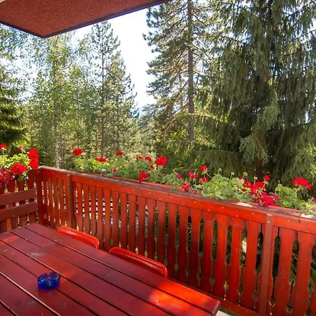 Zavicaj Zaovine2 Zaovine