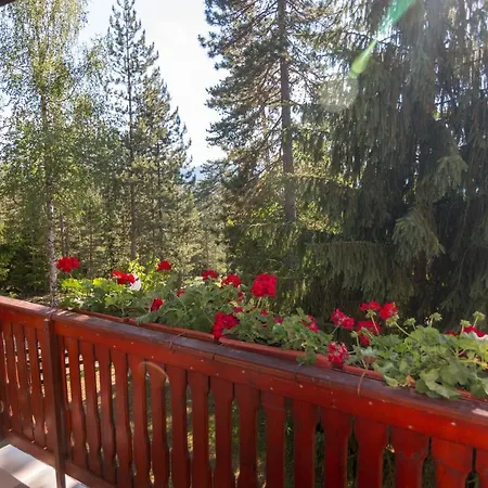 Zavicaj Zaovine2 * Zaovine